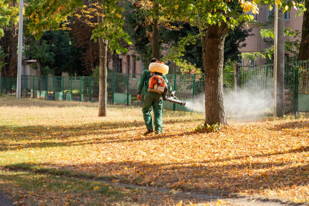  Groveland, FL Pest Control Pros