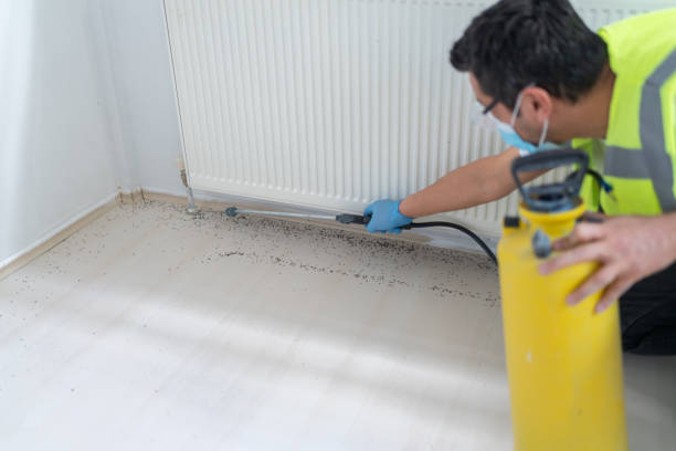 Best Bed Bug Extermination  in Groveland, FL